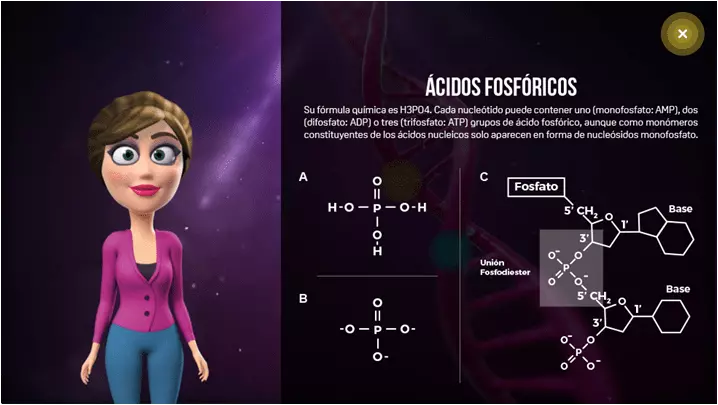 videos interactivos funcionalidad test