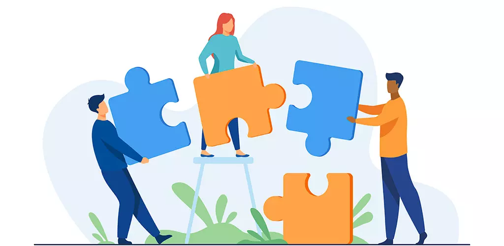 qué es wordpress vip y qué ventajas de ser partner