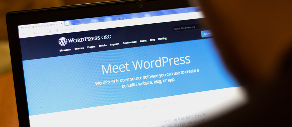 ¿Cómo está evolucionando WordPress en el mercado de las grandes empresas en 2025?